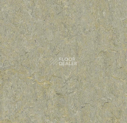 Линолеум Forbo Marmoleum Marbled Terra 5801-580135 river bank фото 1 | FLOORDEALER